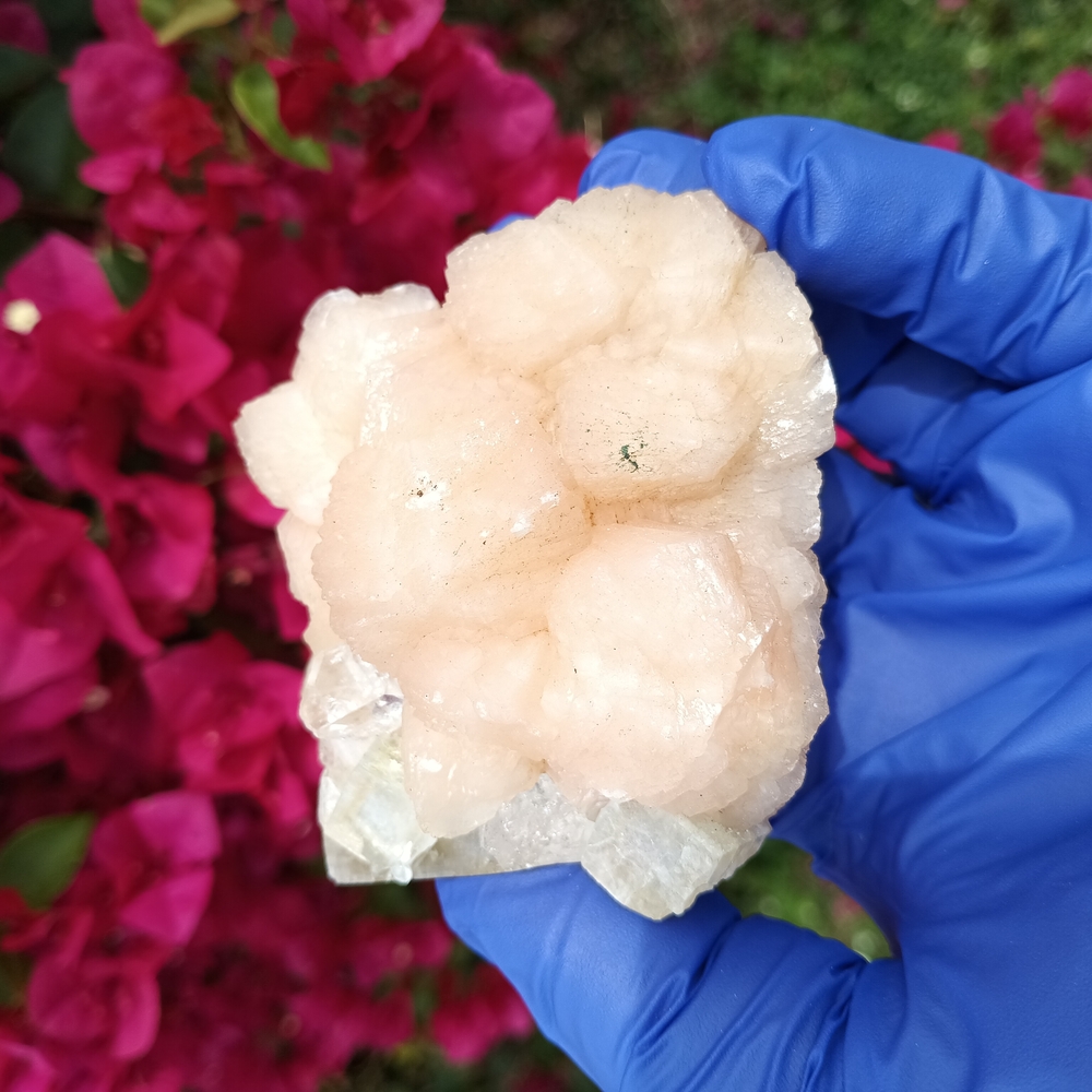 Peach Stilbite With Green Apophylite